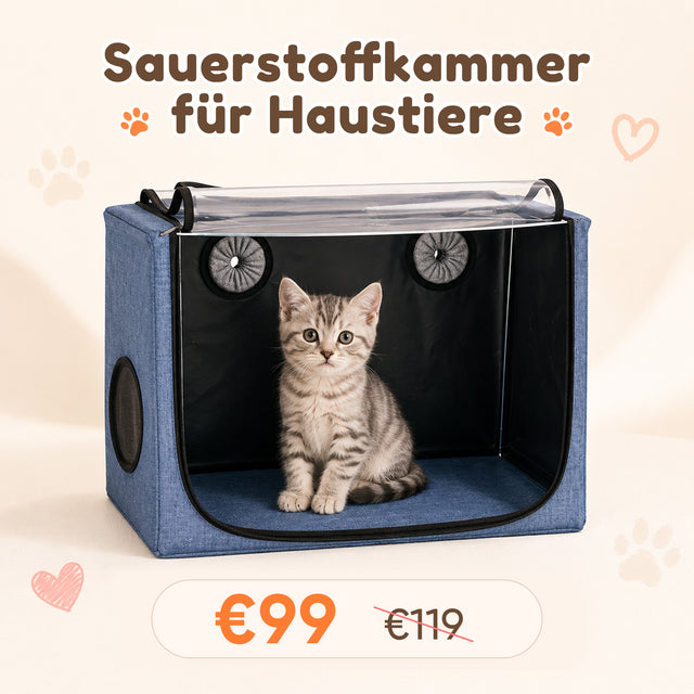 100L Sauerstoffkammer für Haustiere – Komfortabler Raum für Sauerstoff- & Aerosoltherapie VARON
